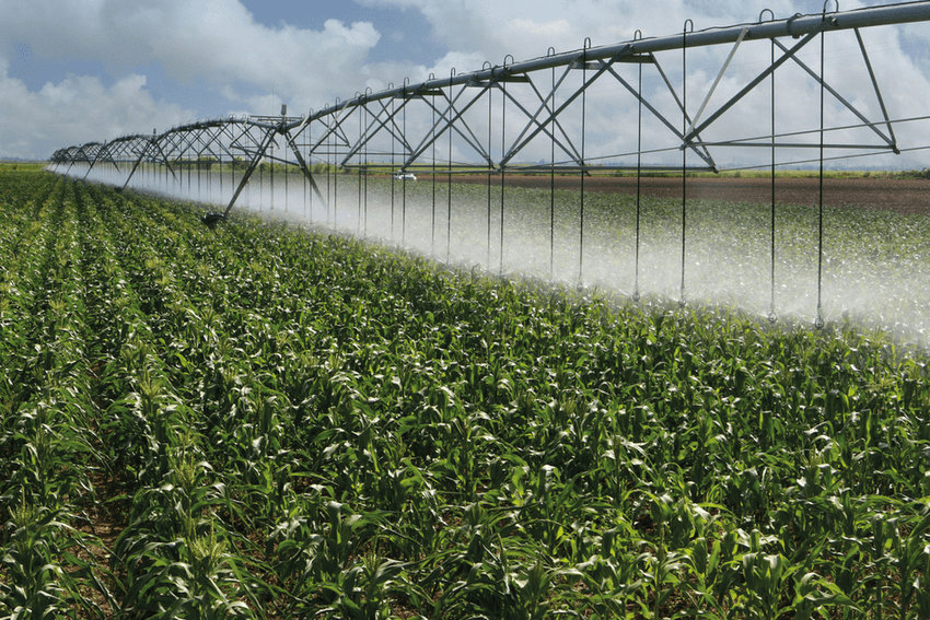 Irrigation & Agricultural Company South Africa