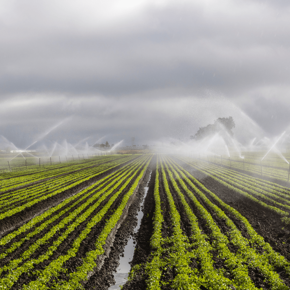 Irrigation & Agricultural Company South Africa